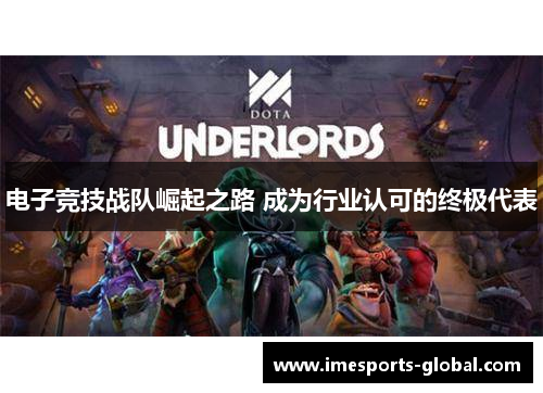 电子竞技战队崛起之路 成为行业认可的终极代表