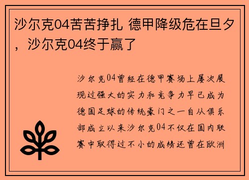 沙尔克04苦苦挣扎 德甲降级危在旦夕，沙尔克04终于赢了