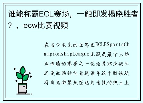 谁能称霸ECL赛场，一触即发揭晓胜者？，ecw比赛视频