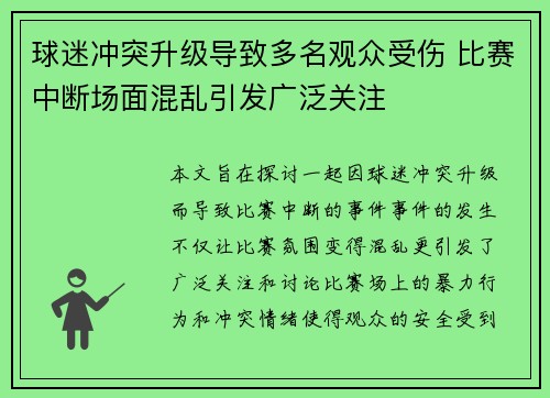 球迷冲突升级导致多名观众受伤 比赛中断场面混乱引发广泛关注