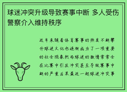 球迷冲突升级导致赛事中断 多人受伤警察介入维持秩序